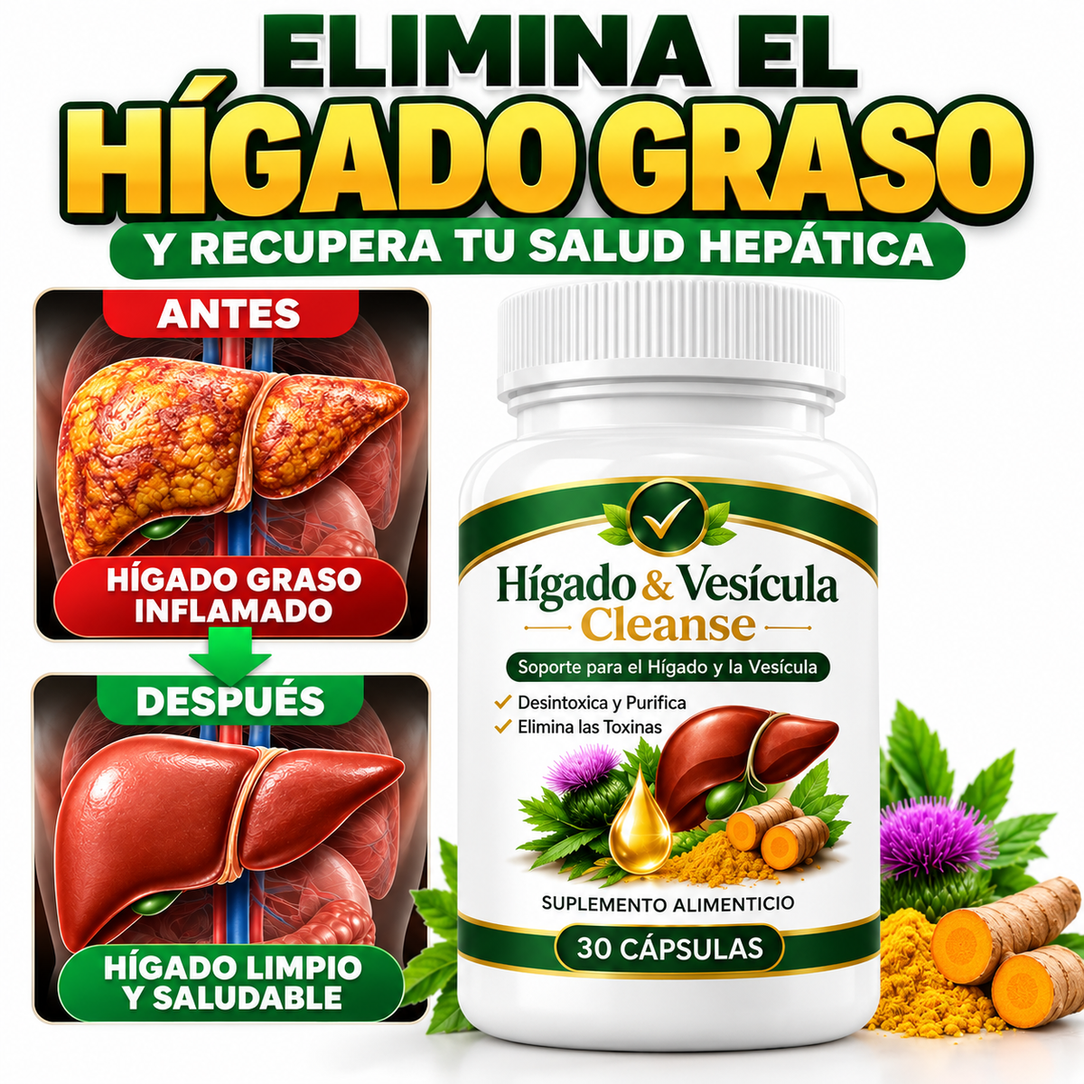 Hígado & Vesícula Cleanse,