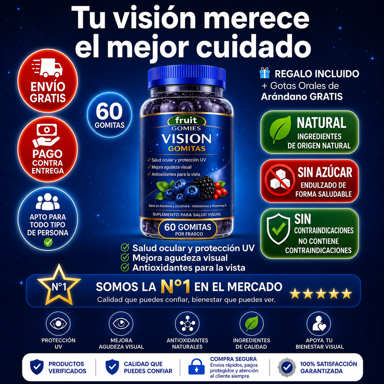 GOMITAS VISION