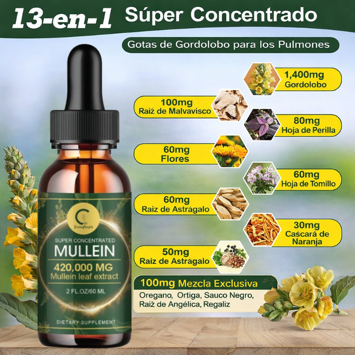 oferta 2x1 - Zileva Gordolobo + Clorofila – Gotas Naturales para Desintoxicar Pulmones y Fortalecer Defensas